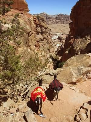 monastry route