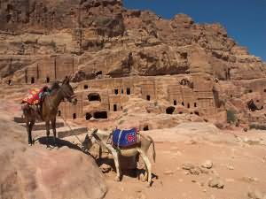 nabatean habitation