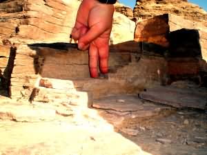 Let your fingers do the walking!