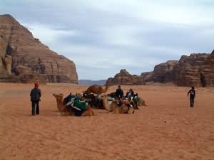 Camel station