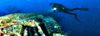 Specialty diver