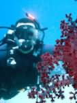 Ahmad diving in Aqaba