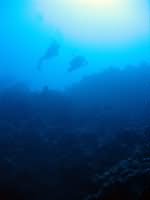Divers in Aqaba