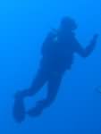 Dale diving