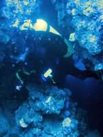Tec Diver