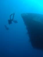 Diver in Aqaba