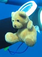 Teddy bear