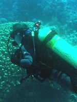 Diver in Aqaba