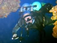 Tec diving