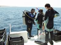 Dive deck