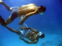 Snorkellers