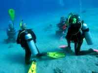 Open water class