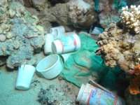 New trash on the reef