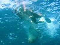 Illegal net fishing