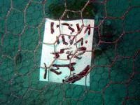 Calling card