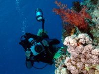 Underwater photographer