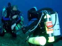 Test Pilots