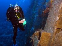 Taiyong wreck