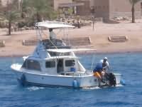 Marine park rescue