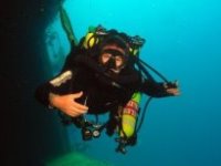 Pelagian diver