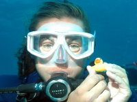 Diver with duck