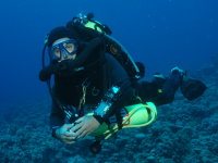 Pelagian Diver