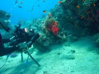 Underwater Videographer