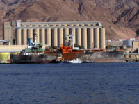 Benegas back in the port
