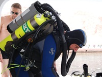 Pelagian diver