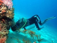 Diver upside down