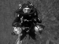 Diver on Pelagian
