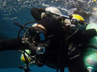 tec diver