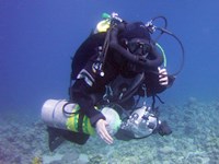Pelagian diver