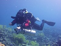 Pelagian diver hovering