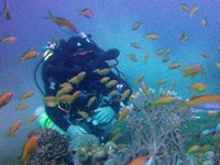 Pelagian diver