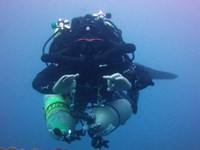 Pelagian diver hovering