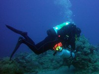 Tec diver swimming