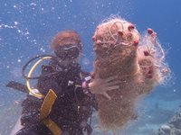 Diver recovers illegal net