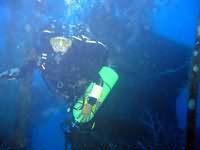 Dorit Tec Diver