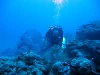 Deep seascape