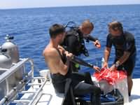 Clean up dive briefing