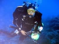 Descent check