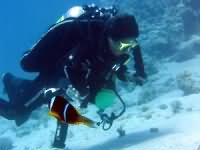 Twin set diving