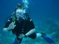 Suzanne diving