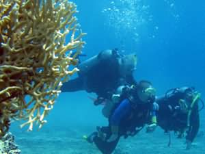 Scuba Diving for all