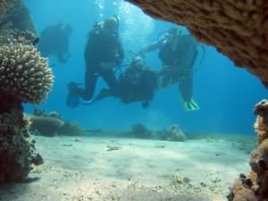 Scuba Diving for all