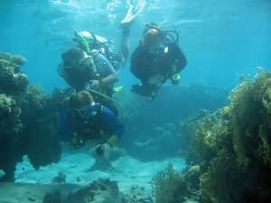 Scuba Diving for all
