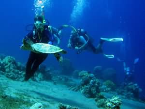 Scuba Diving for all
