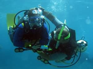 Scuba Diving for all