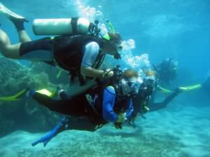 Scuba Diving for all